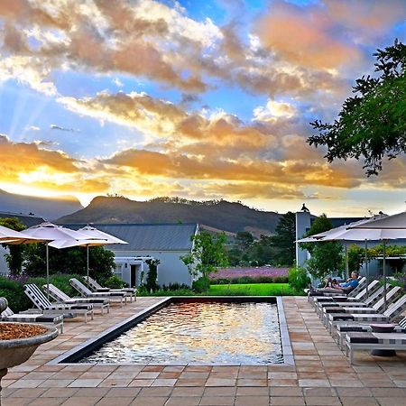 Lavender Farm Boutique Guest House Franschhoek Ngoại thất bức ảnh