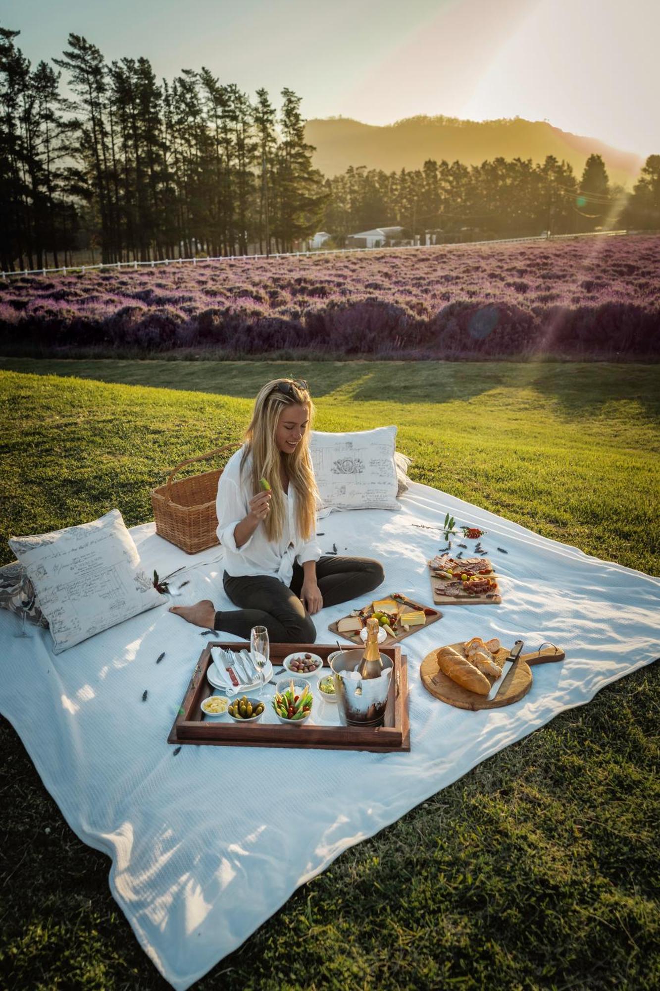 Lavender Farm Boutique Guest House Franschhoek Ngoại thất bức ảnh