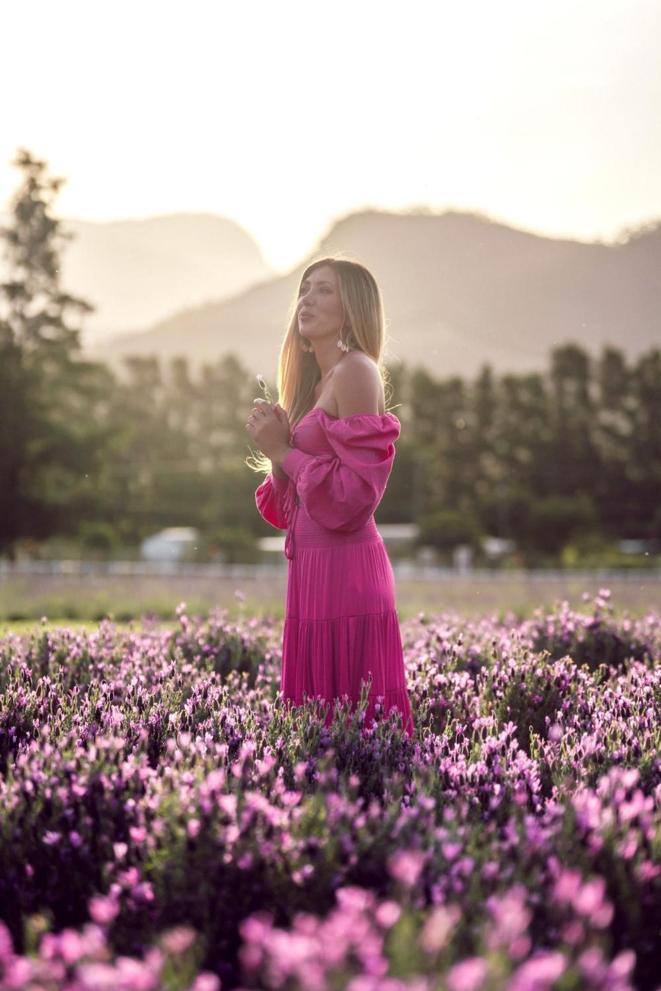 Lavender Farm Boutique Guest House Franschhoek Ngoại thất bức ảnh