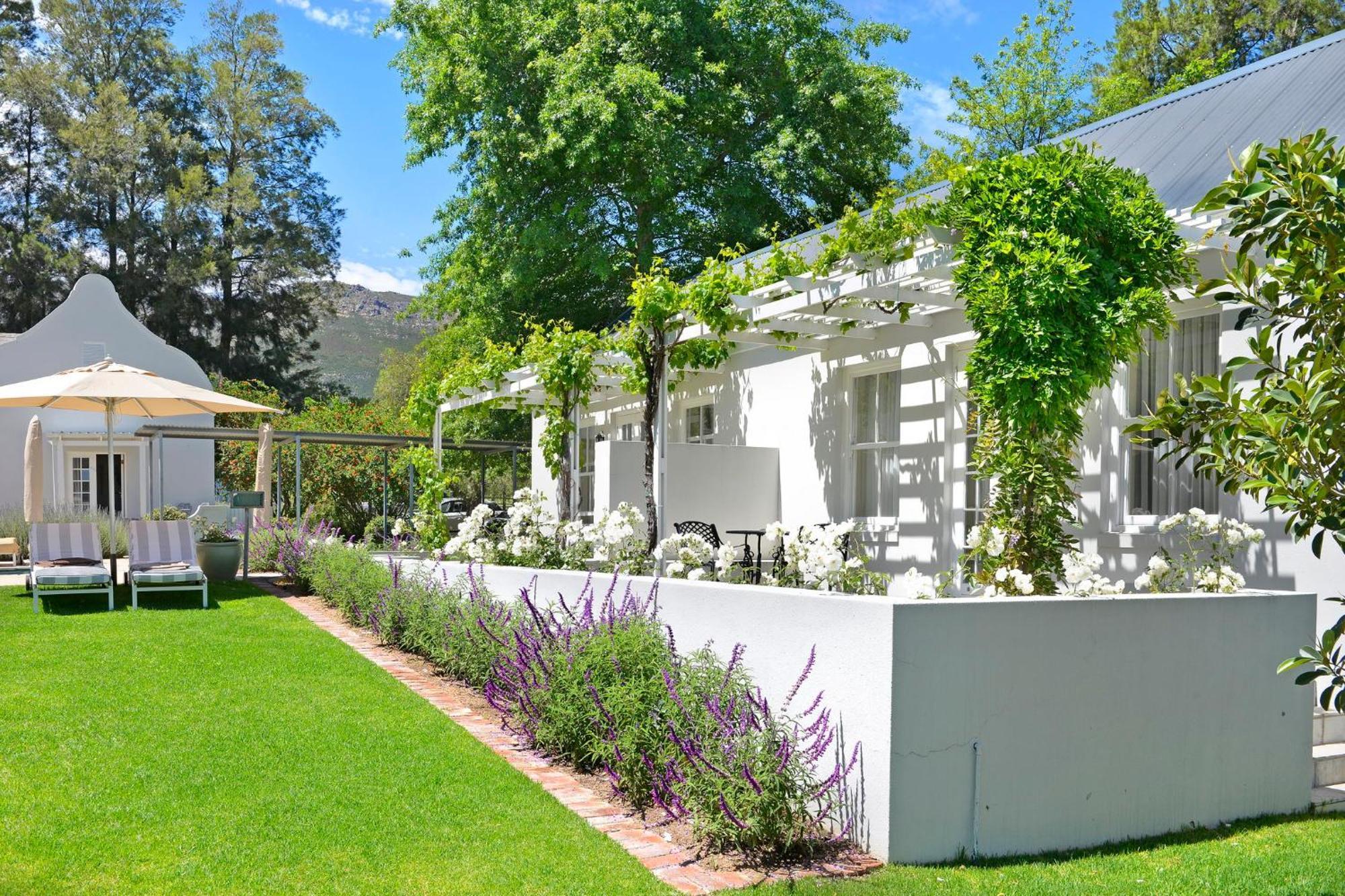 Lavender Farm Boutique Guest House Franschhoek Ngoại thất bức ảnh