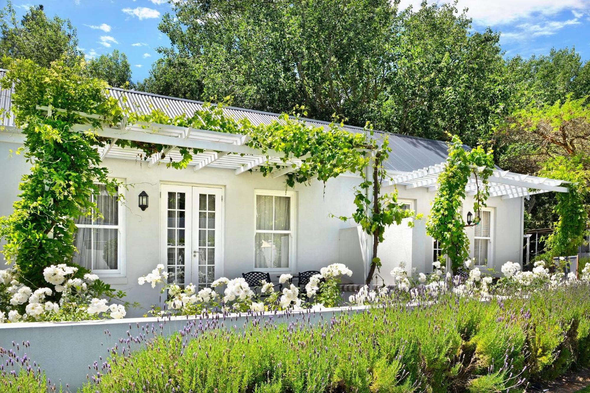 Lavender Farm Boutique Guest House Franschhoek Ngoại thất bức ảnh