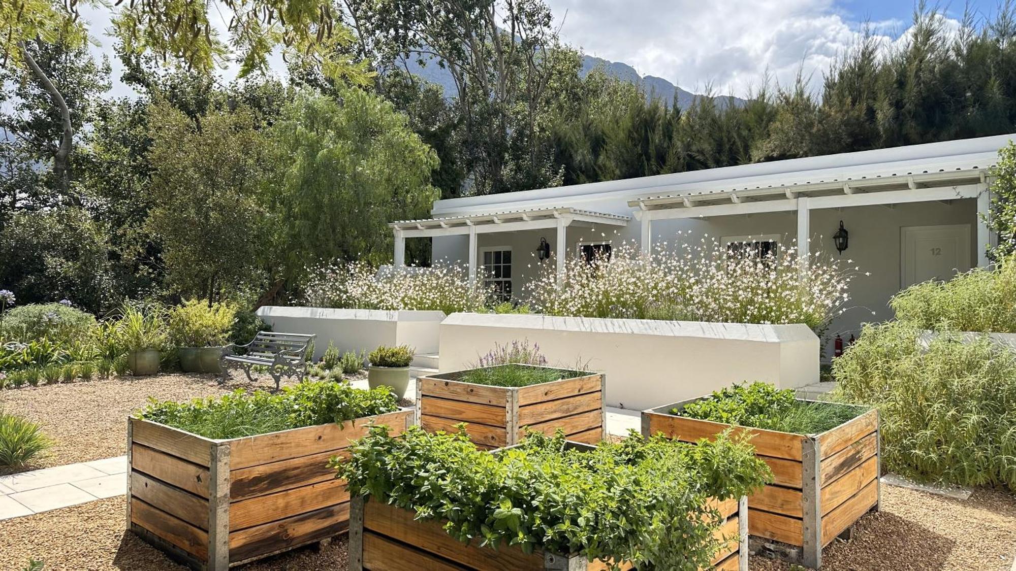 Lavender Farm Boutique Guest House Franschhoek Ngoại thất bức ảnh