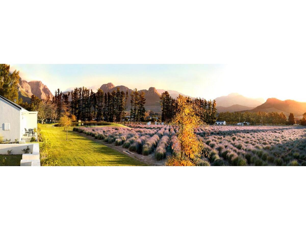 Lavender Farm Boutique Guest House Franschhoek Ngoại thất bức ảnh