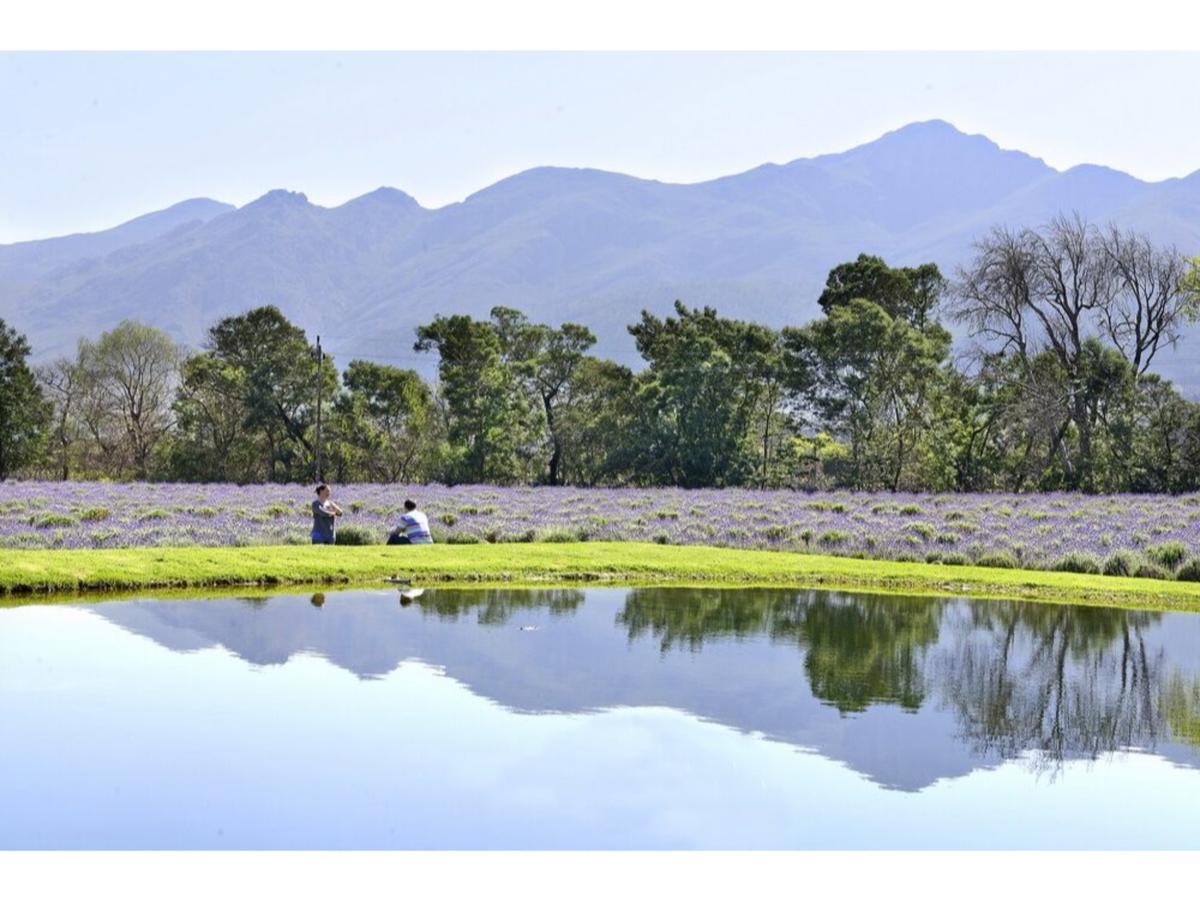 Lavender Farm Boutique Guest House Franschhoek Ngoại thất bức ảnh