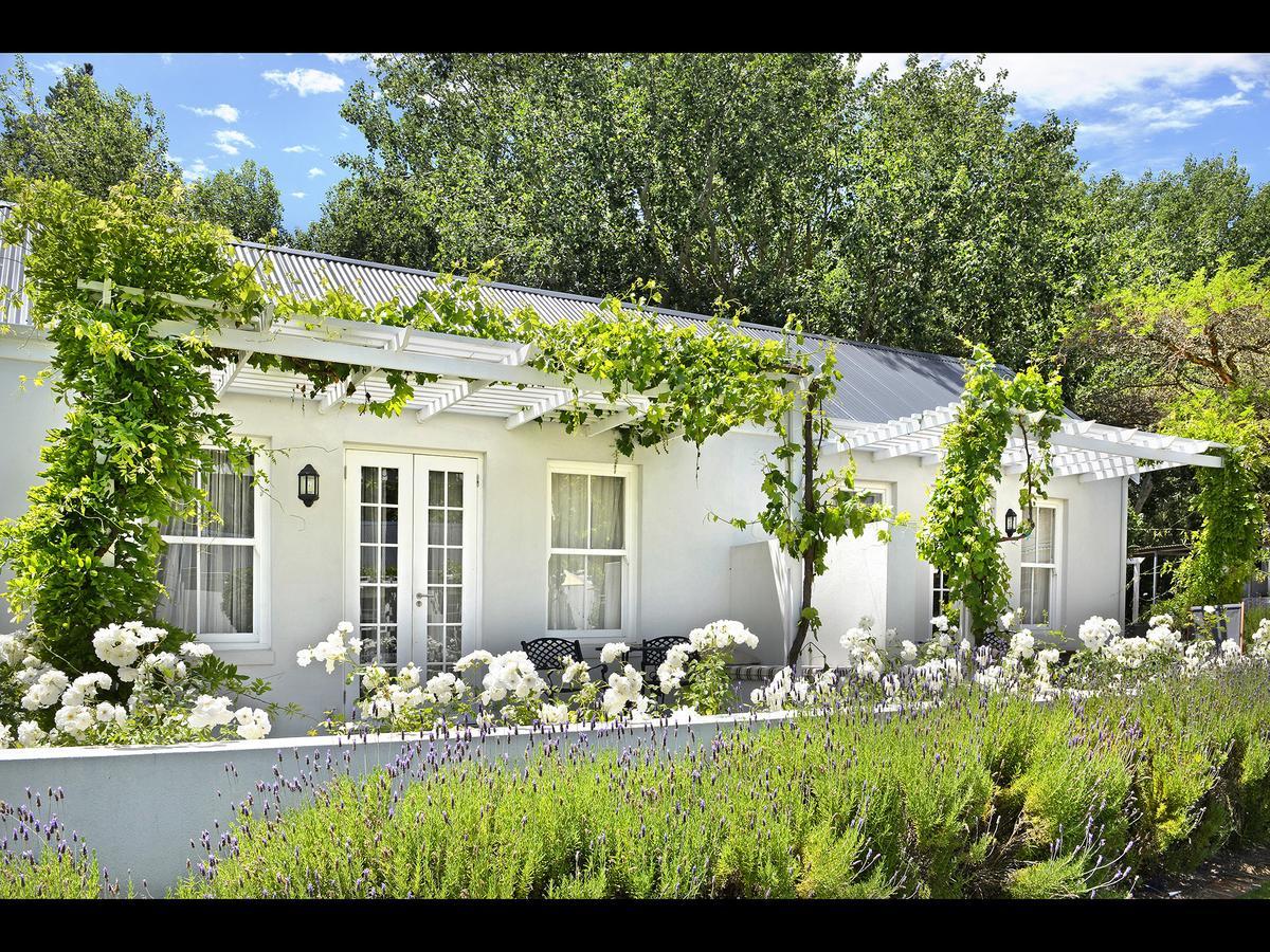 Lavender Farm Boutique Guest House Franschhoek Ngoại thất bức ảnh