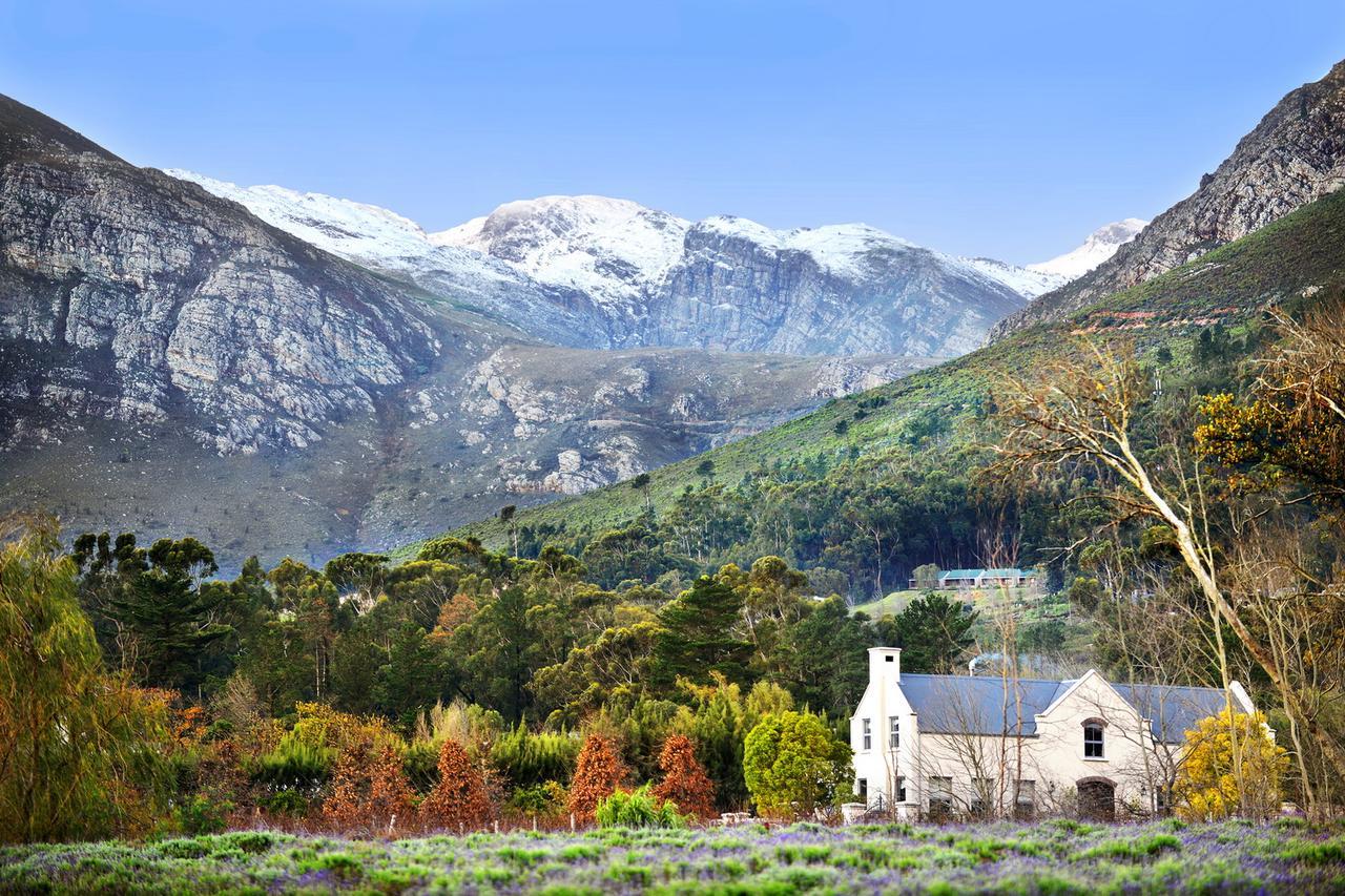 Lavender Farm Boutique Guest House Franschhoek Ngoại thất bức ảnh