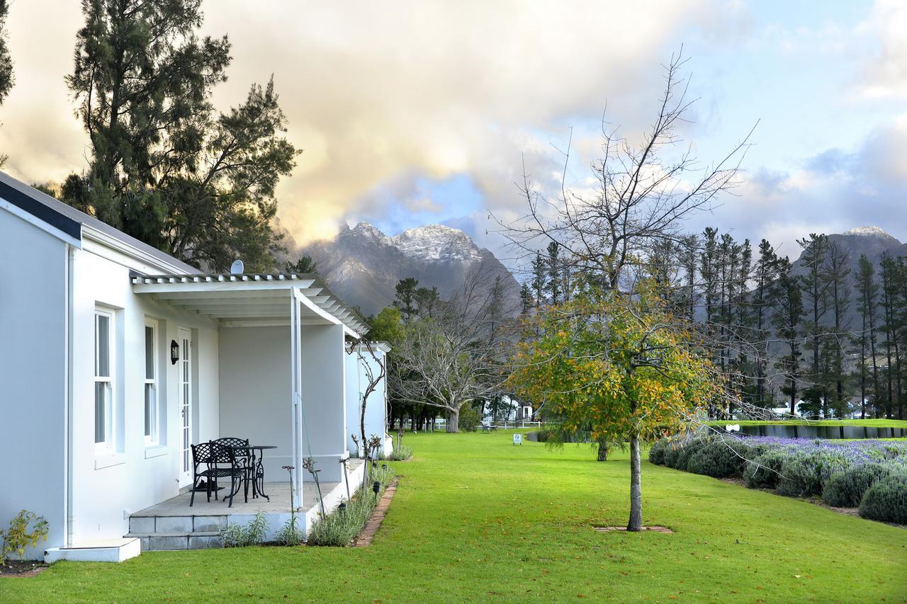 Lavender Farm Boutique Guest House Franschhoek Ngoại thất bức ảnh