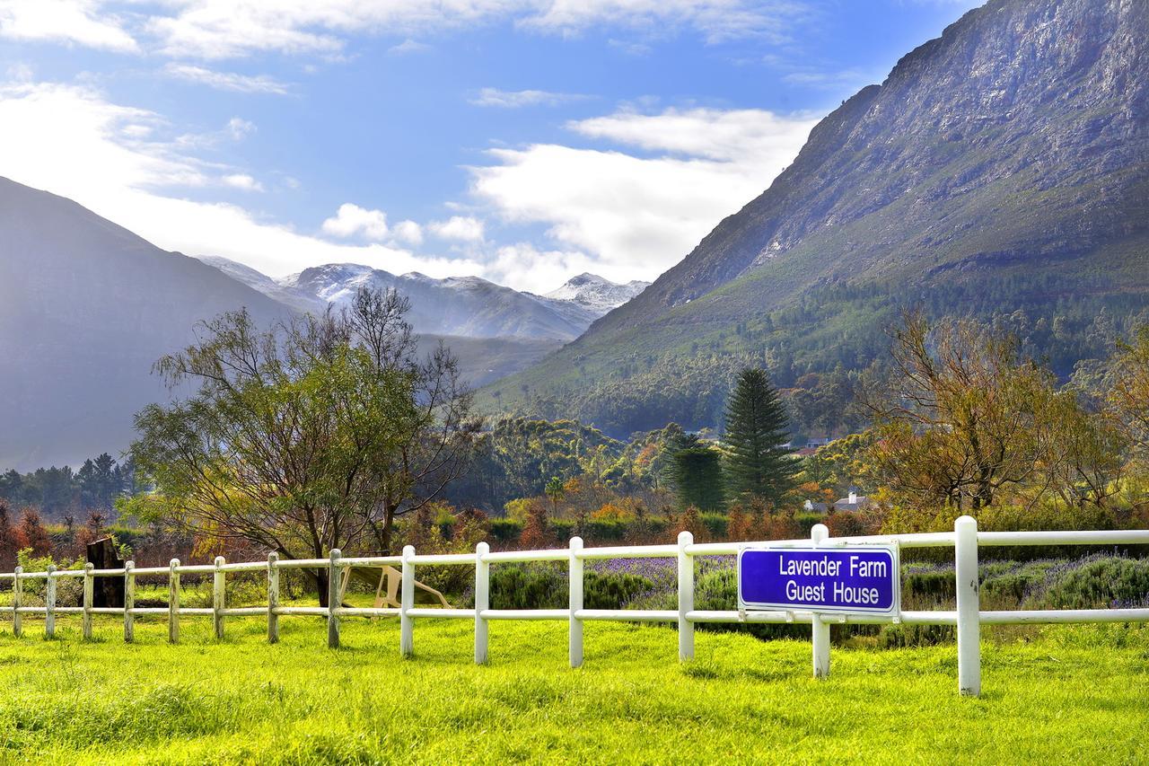 Lavender Farm Boutique Guest House Franschhoek Ngoại thất bức ảnh