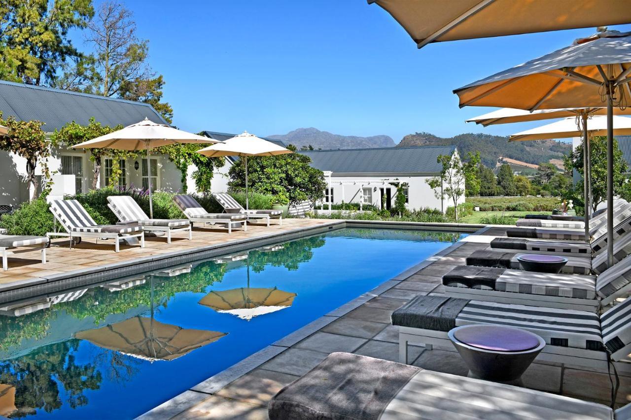 Lavender Farm Boutique Guest House Franschhoek Ngoại thất bức ảnh